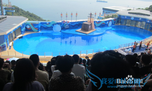 香港旅游亲身游攻略