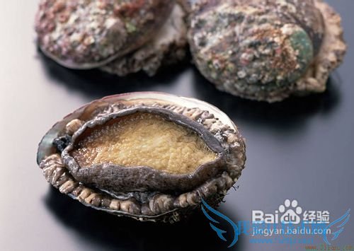 学生暑期旅游须知