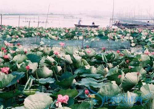 安徽自助旅游攻略