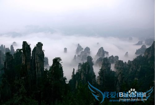 自驾来张家界途中应该注意的地方