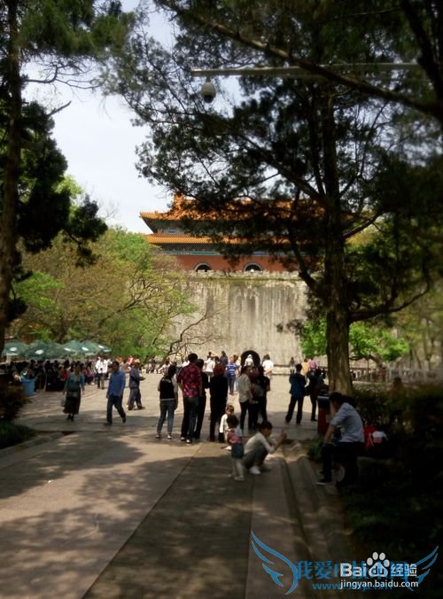 南京一日游旅游路线攻略推荐