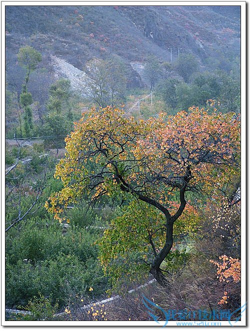 五一北京周边八区旅游全攻略