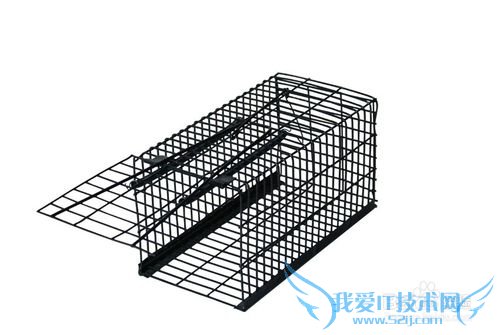 怎样才能消灭掉家里的老鼠