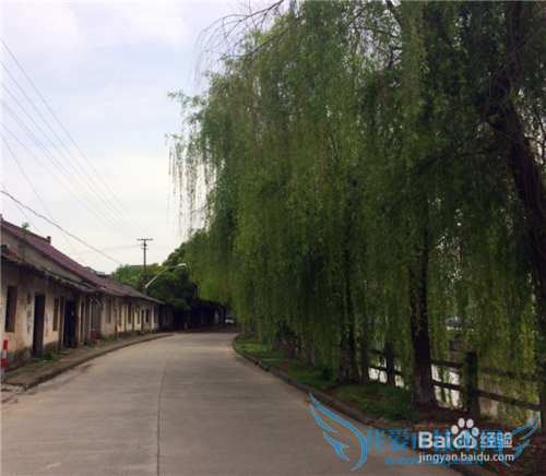 海宁盐官古镇及一线潮观看旅游攻略