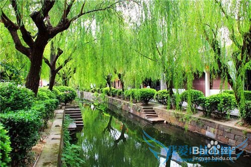 海宁盐官古镇及一线潮观看旅游攻略