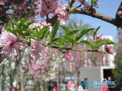 五一北京哪里好玩