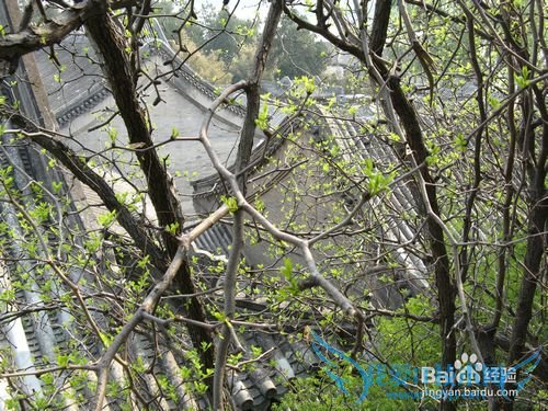 五一北京哪里好玩