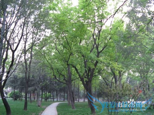 五一北京哪里好玩