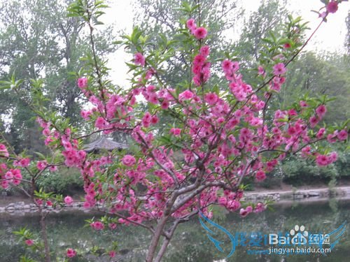 五一北京哪里好玩