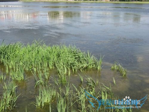 五一北京哪里好玩