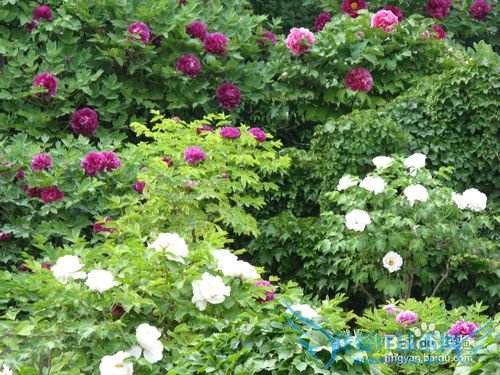 五一北京哪里好玩