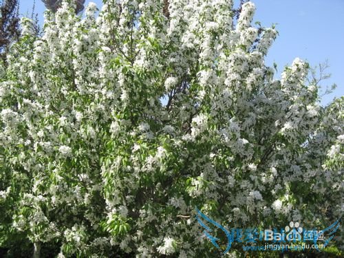 五一北京哪里好玩