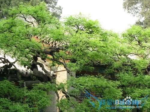 五一北京哪里好玩