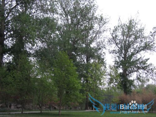 五一北京哪里好玩