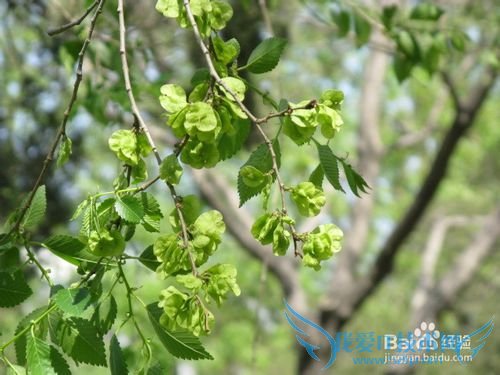 五一北京哪里好玩