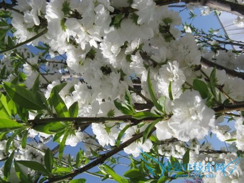 五一北京哪里好玩