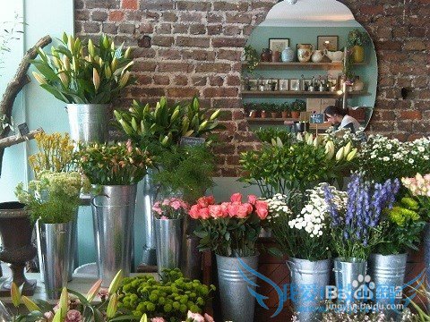 如何开花店- 创业让梦想照进现实