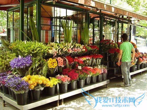 如何开花店- 创业让梦想照进现实