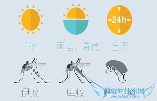 一图看懂——怎么在户外驱蚊战蚊教程