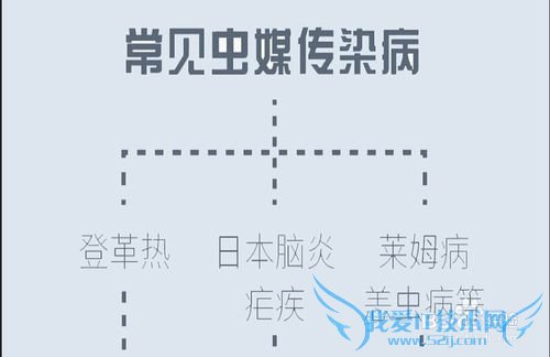 一图看懂——怎么在户外驱蚊战蚊教程