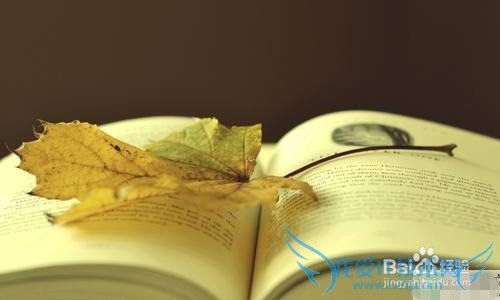 怎么度过人生的低潮期