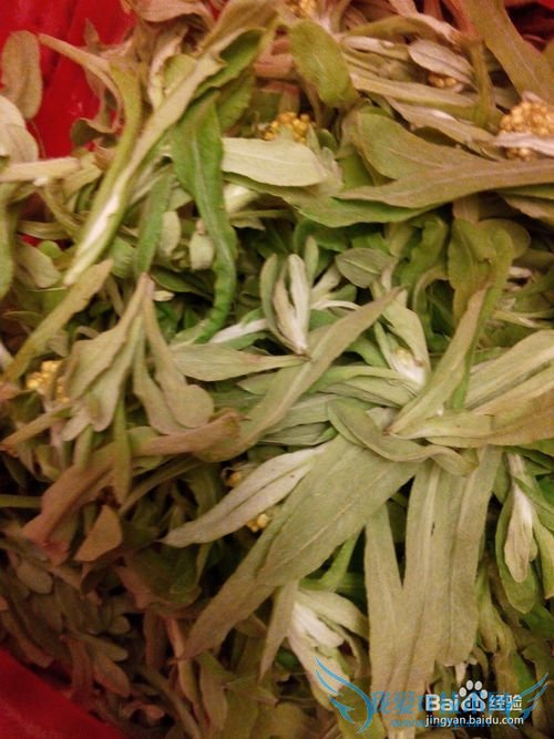 介绍几种可以做清明馃的草及它们的处理过程