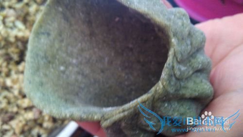 介绍几种可以做清明馃的草及它们的处理过程