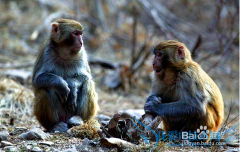 焦作市云台山旅游攻略