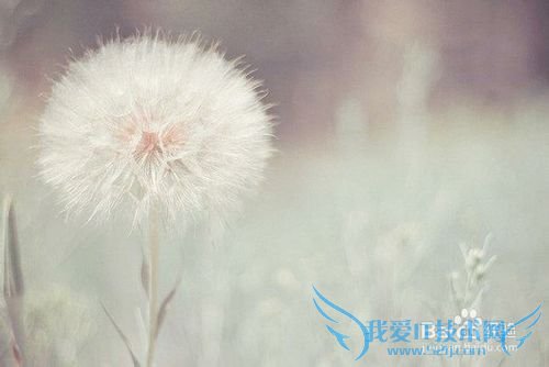 女人如何爱自己?