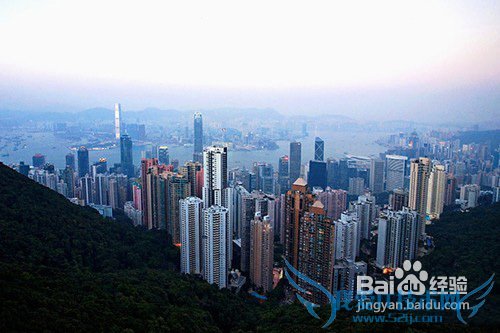 端午节【香港】旅游攻略_端午节去哪玩