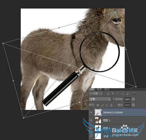 如何使用ps制作移动的放大镜动画效果图