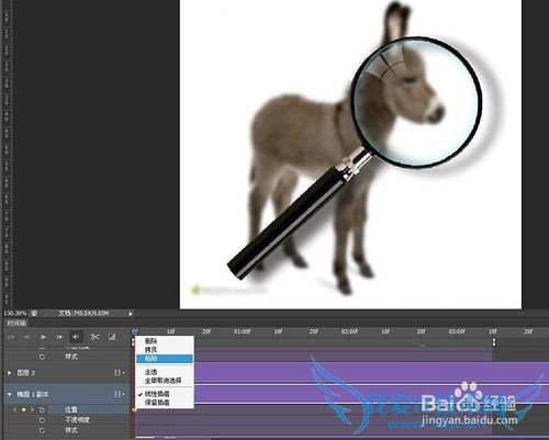 如何使用ps制作移动的放大镜动画效果图
