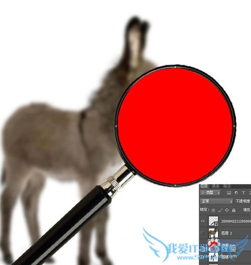 如何使用ps制作移动的放大镜动画效果图