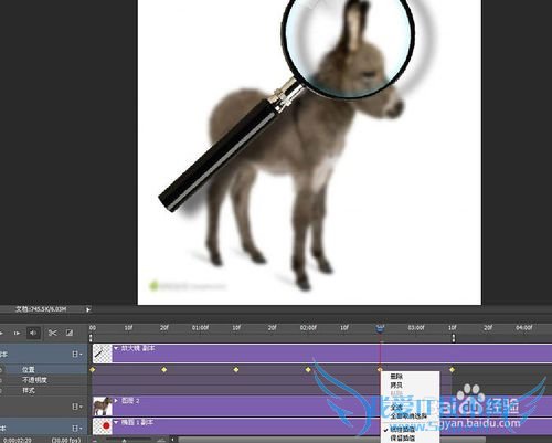 如何使用ps制作移动的放大镜动画效果图