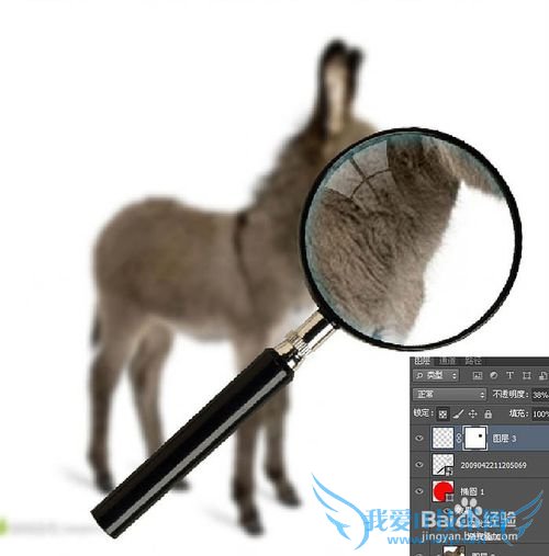 如何使用ps制作移动的放大镜动画效果图