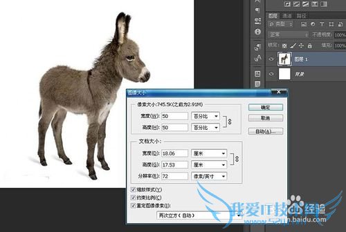 如何使用ps制作移动的放大镜动画效果图