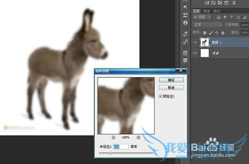 如何使用ps制作移动的放大镜动画效果图