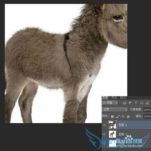 如何使用ps制作移动的放大镜动画效果图