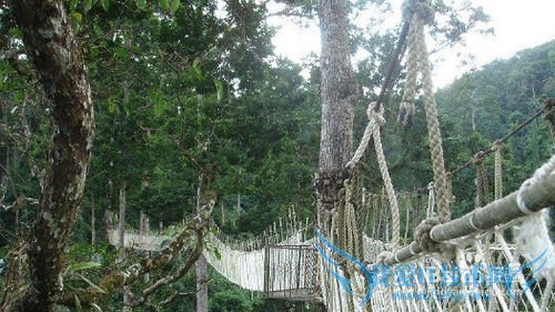 西双版纳旅游必去景点