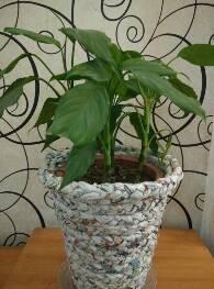 #环保达人#废旧报纸变身保温花盆套