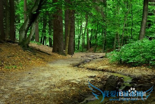 怎样缓解眼疲劳