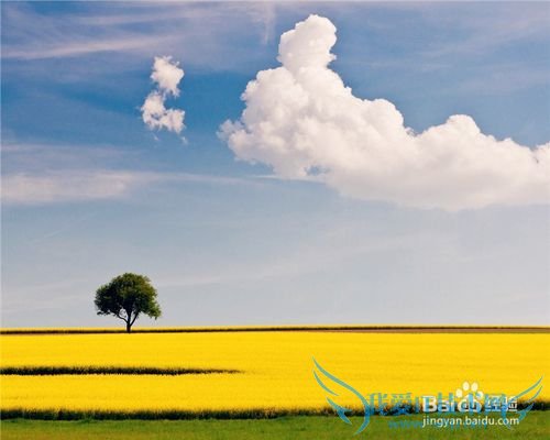 工作中遇到小心眼的人怎么相处?