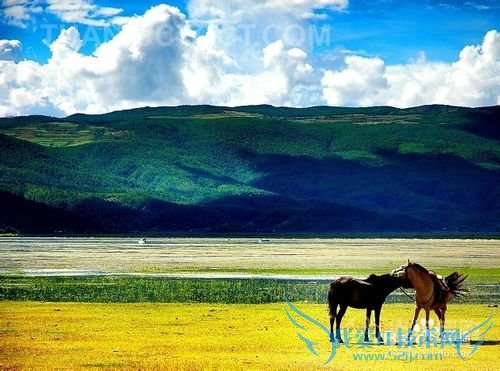丽江古城住宿攻略!