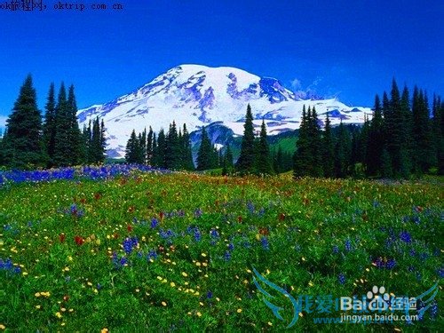 丽江古城住宿攻略!