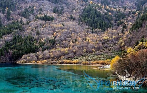 低价团旅游九寨沟,您需注意的事情!