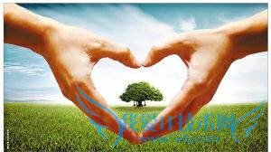 大学生可以做哪些可靠的兼职挣钱