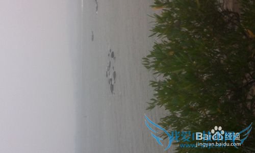 五一 三天两夜玩厦门攻略