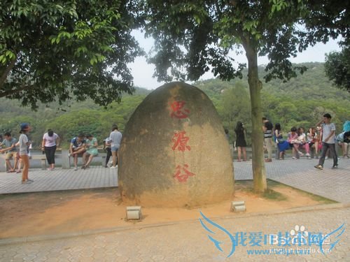 五一 三天两夜玩厦门攻略