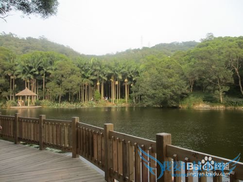 五一 三天两夜玩厦门攻略