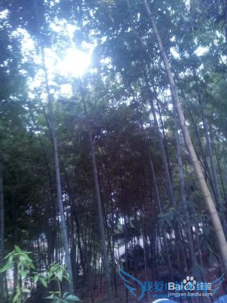 º¢×Ó¾õµÃѧϰÐÁ¿à·¢ÀÎɧÔõô°ì£¿